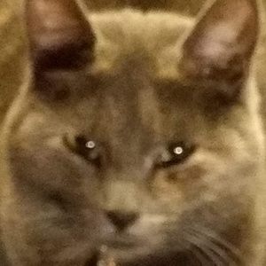 Meet your Posher, Pam